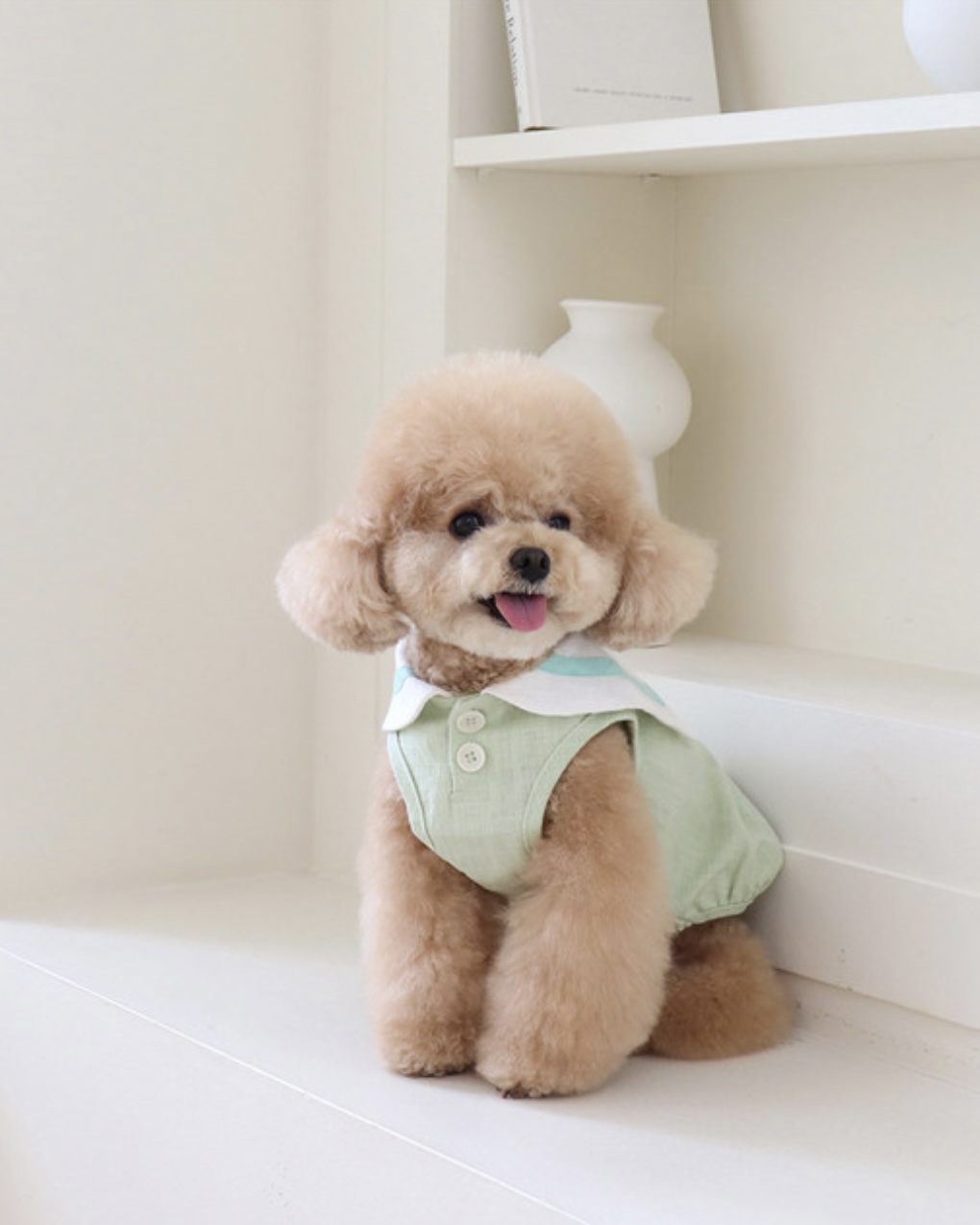 Pastel Linen Cape Top (Mint)