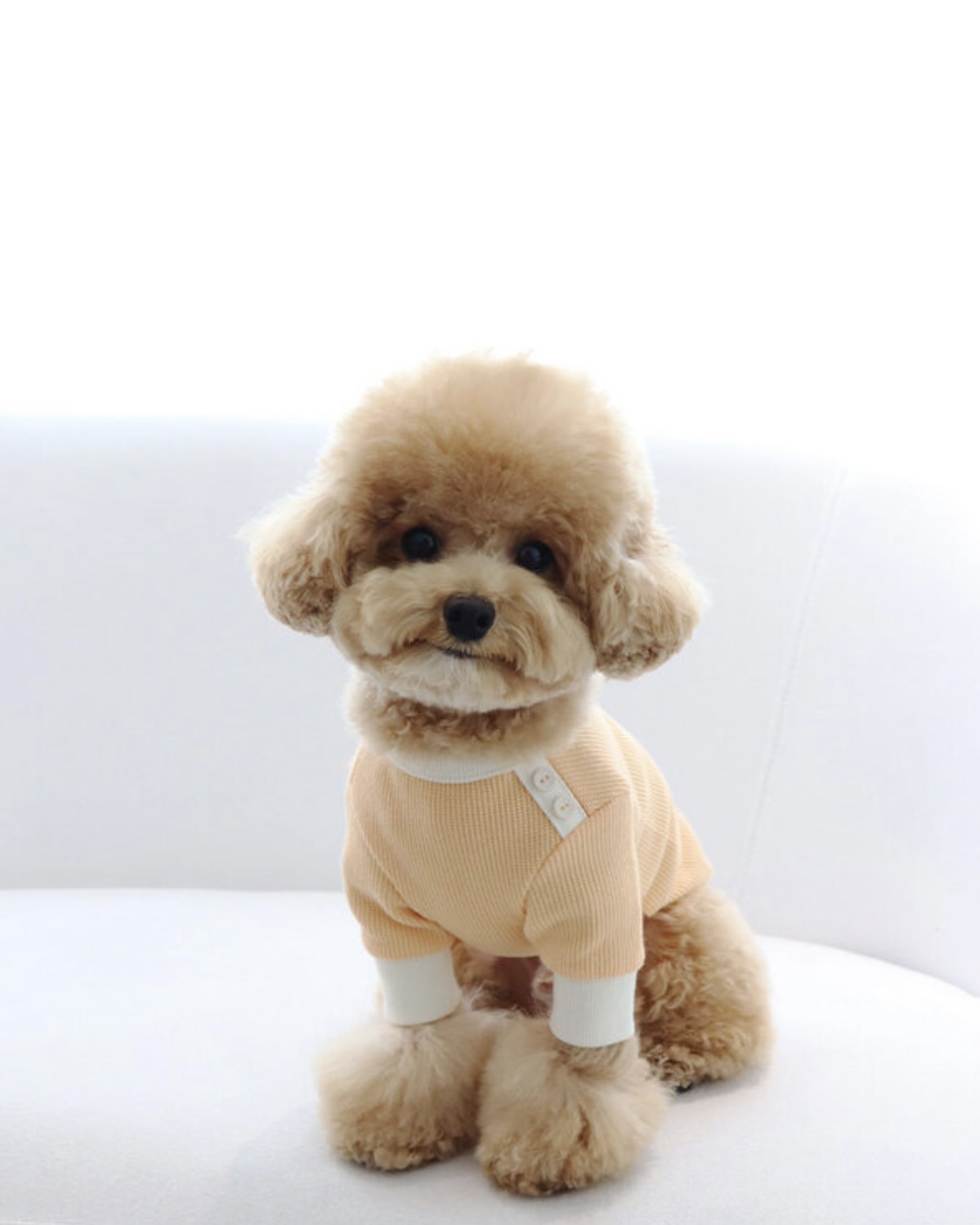 Sherbet Waffle T-Shirt (Orange)