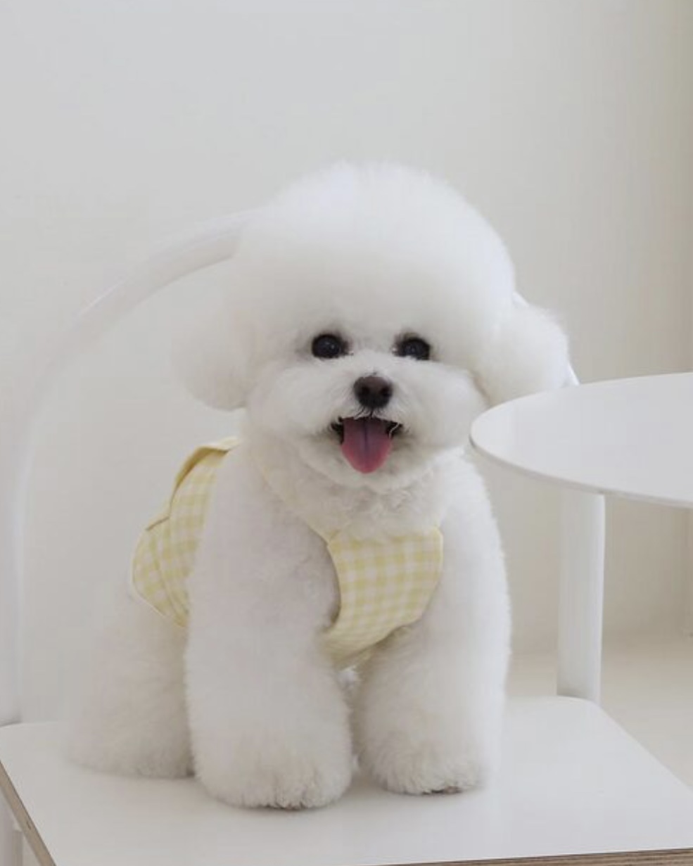 Together Check Crop Top Overall (Yellow)