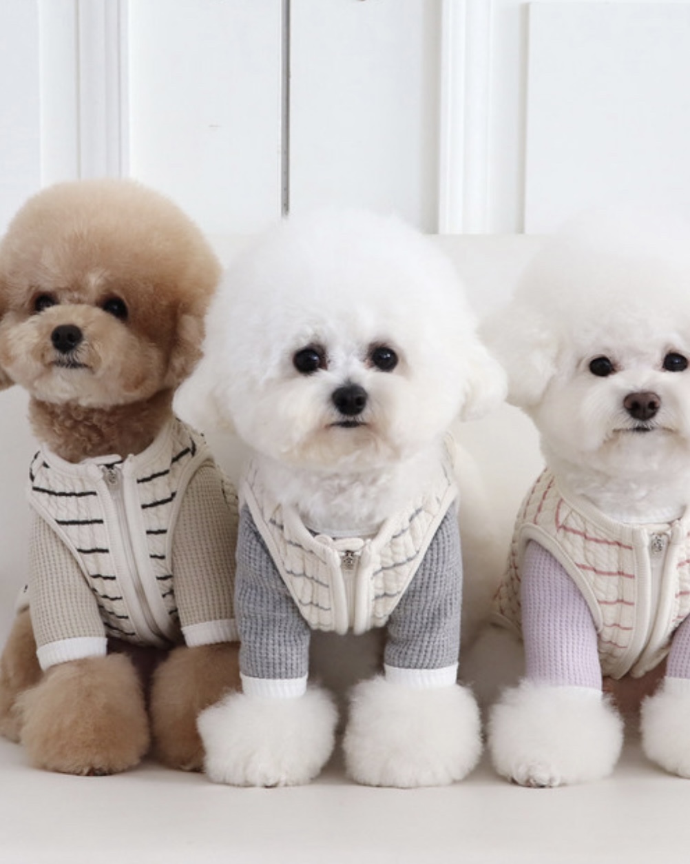 Chiot Bebe Cream Quilted Zip-Up Vest (Khaki)