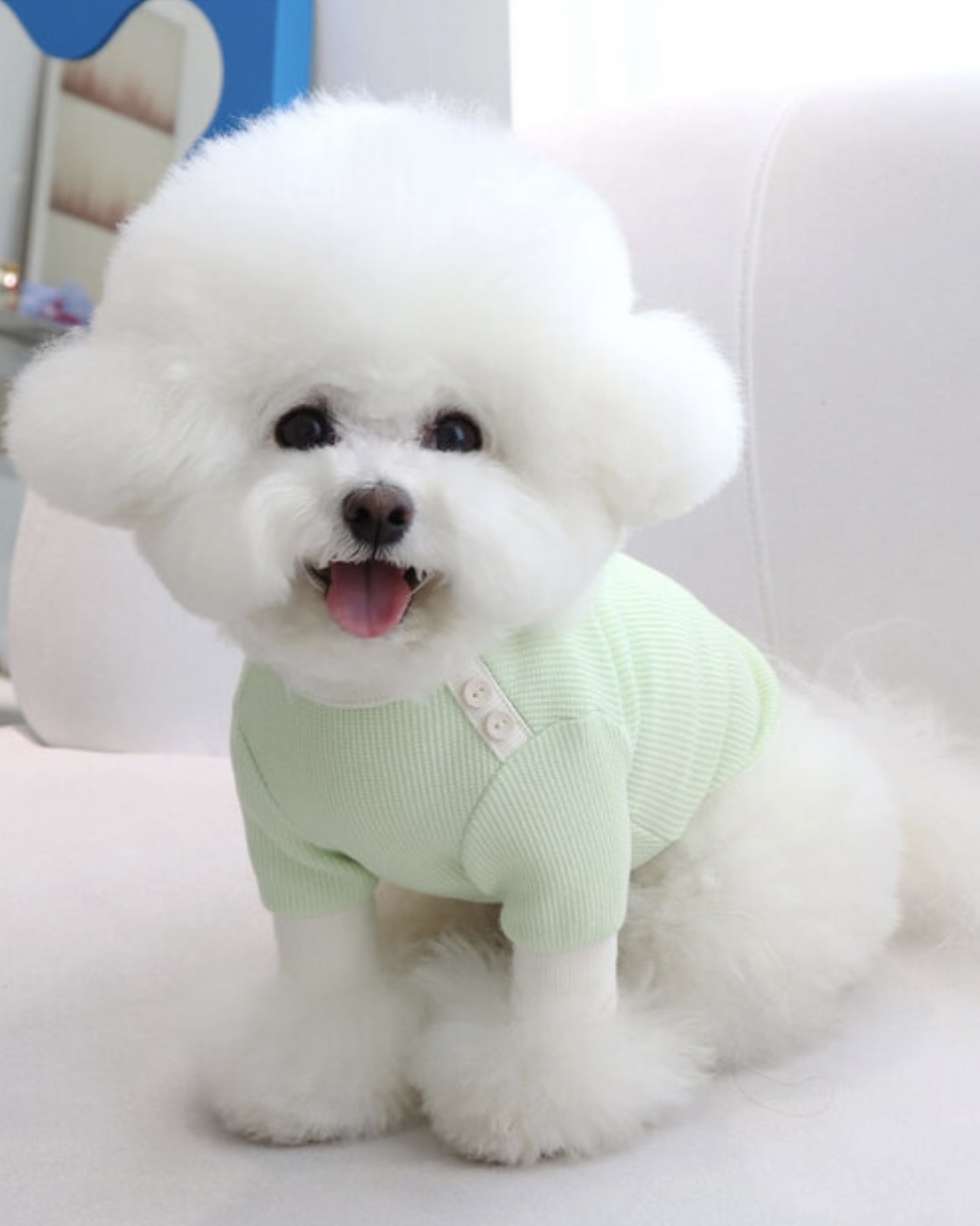 Sherbet Waffle T-Shirt (Milk Green)