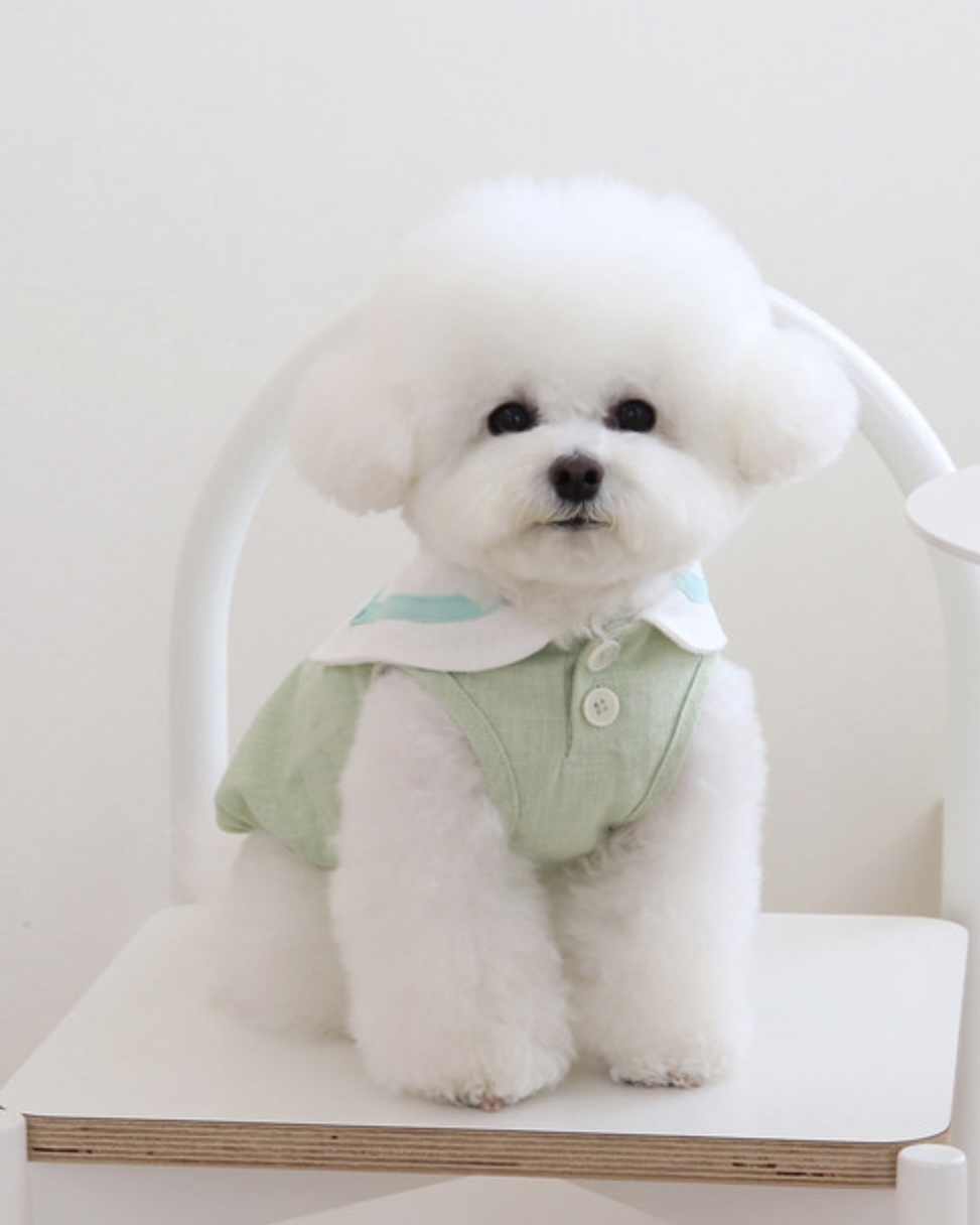 Pastel Linen Cape Top (Mint)