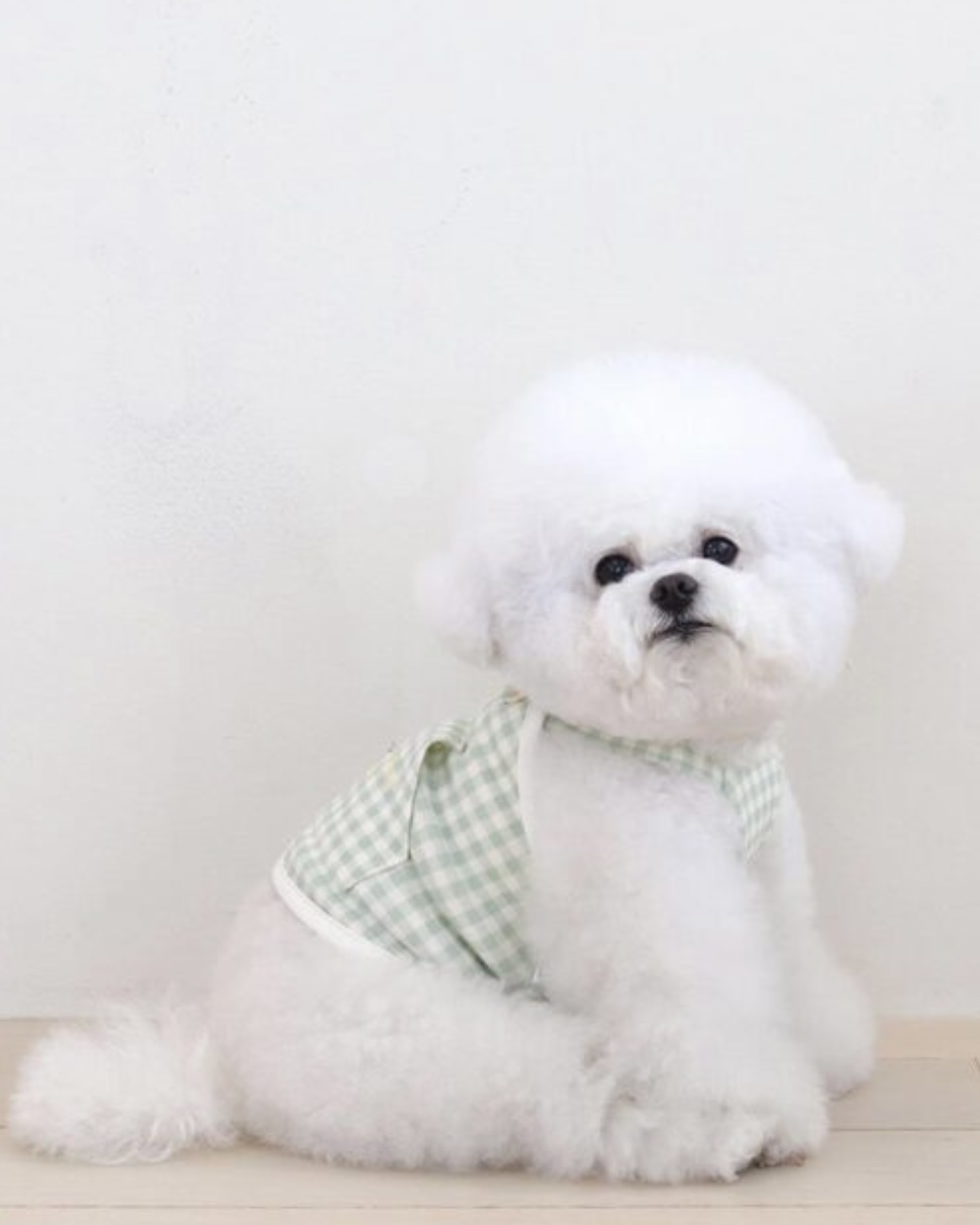 Chiot Together Check Crop Top Overall (Mint)