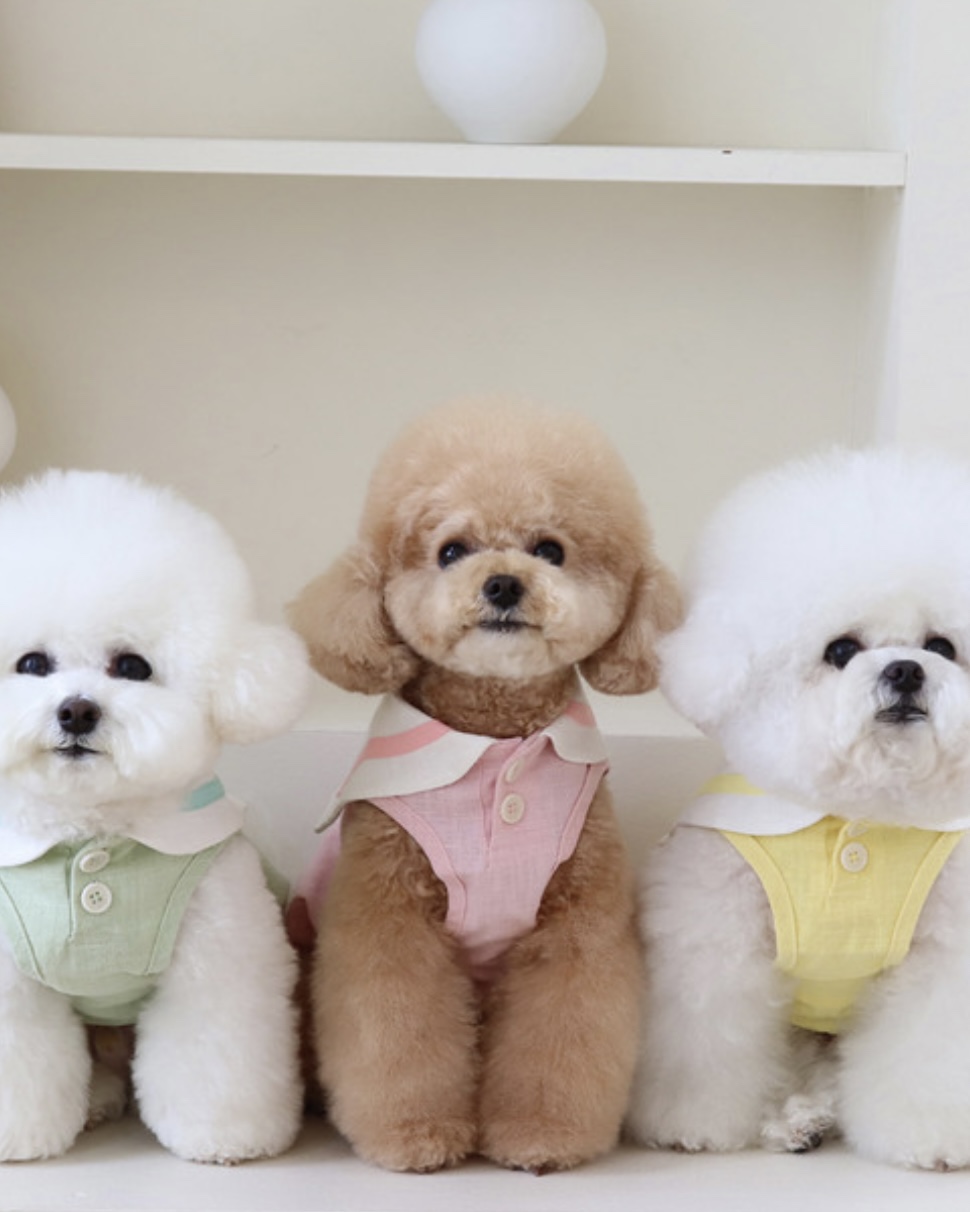 Pastel Linen Cape Top (Mint)