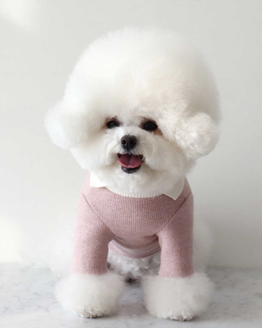 Chiot Blanc Knit Collar T-Shirt (Pink)