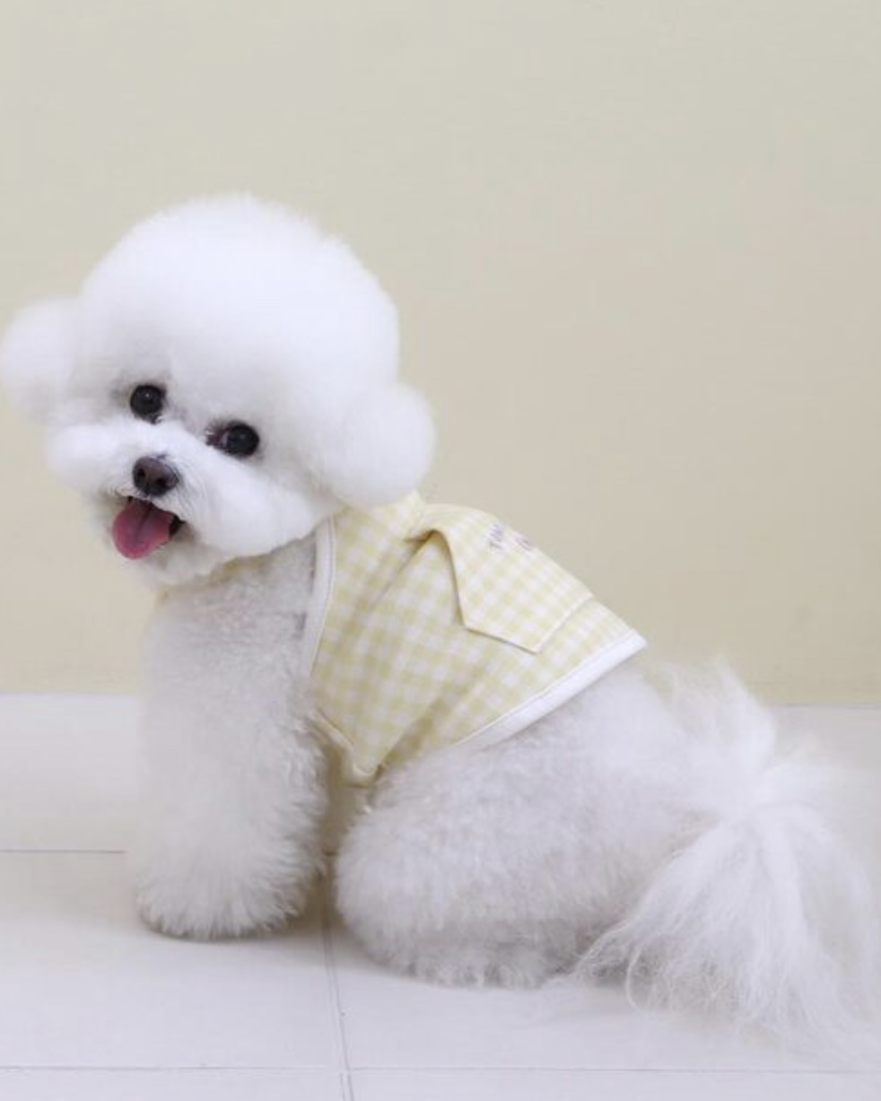 Chiot Together Check Crop Top Overall (Yellow)