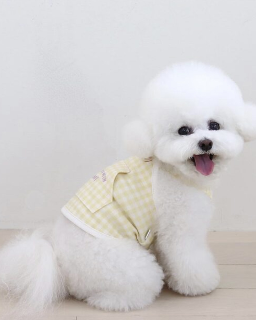 Together Check Crop Top Overall (Yellow)