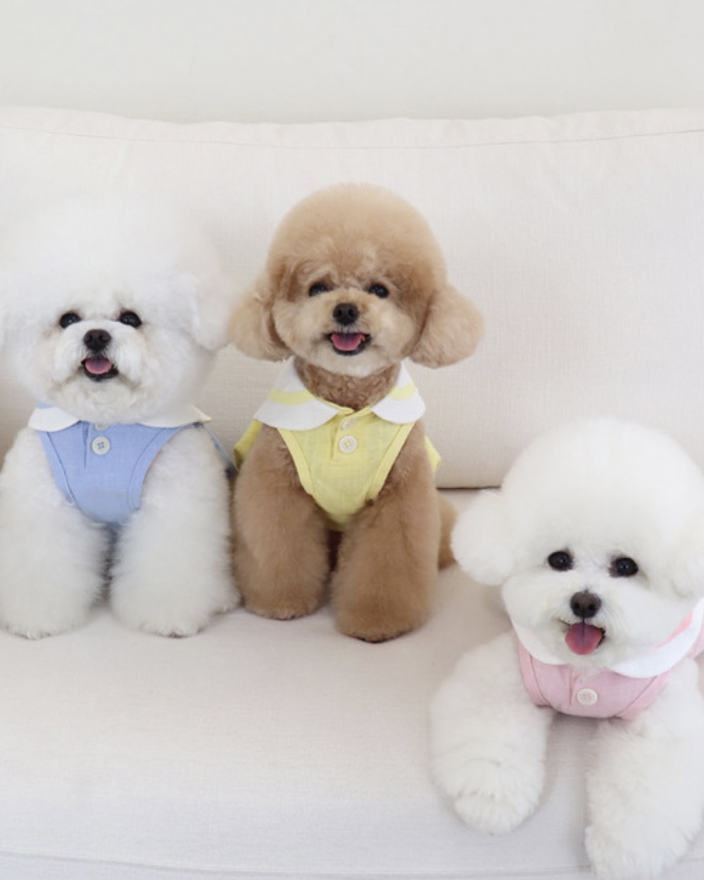 Pastel Linen Cape Top (Blue)