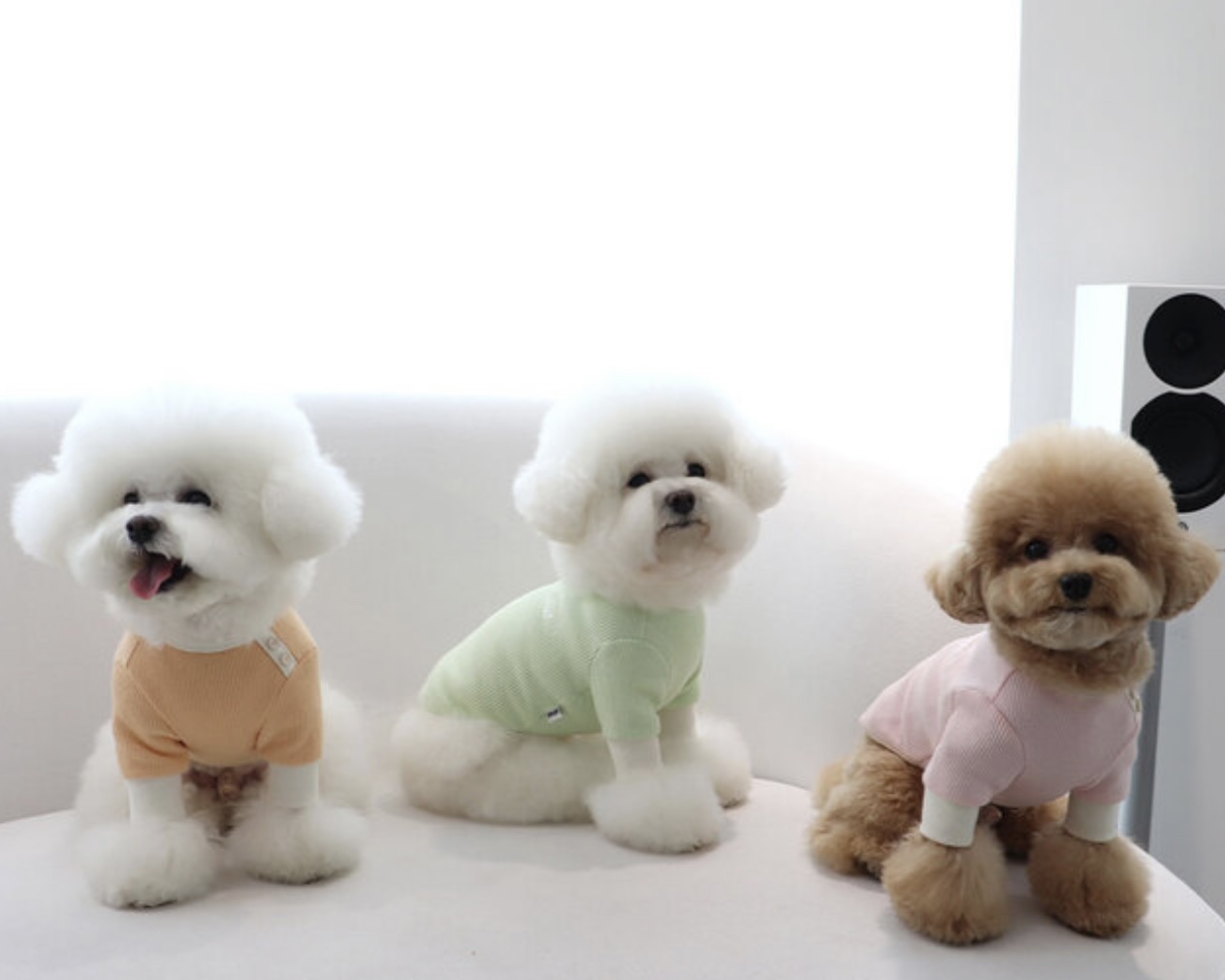 Sherbet Waffle T-Shirt (Milk Green)