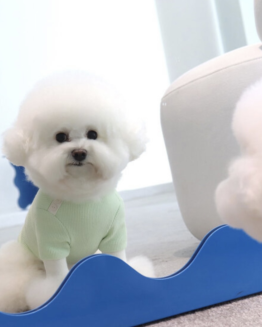 Sherbet Waffle T-Shirt (Milk Green)