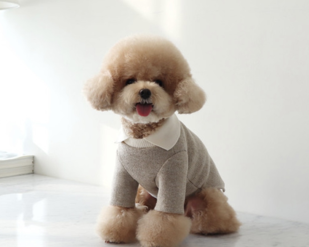 Chiot Blanc Knit Collar T-Shirt (Beige)