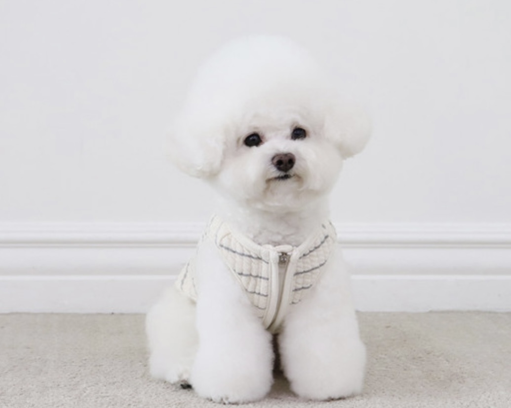 Chiot Bebe Cream Quilted Zip-Up Vest (Grey)