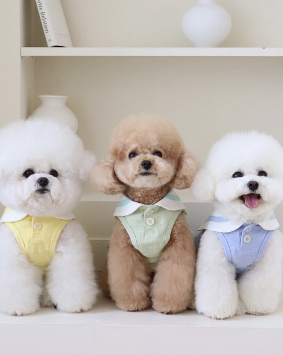 Pastel Linen Cape Top (Mint)