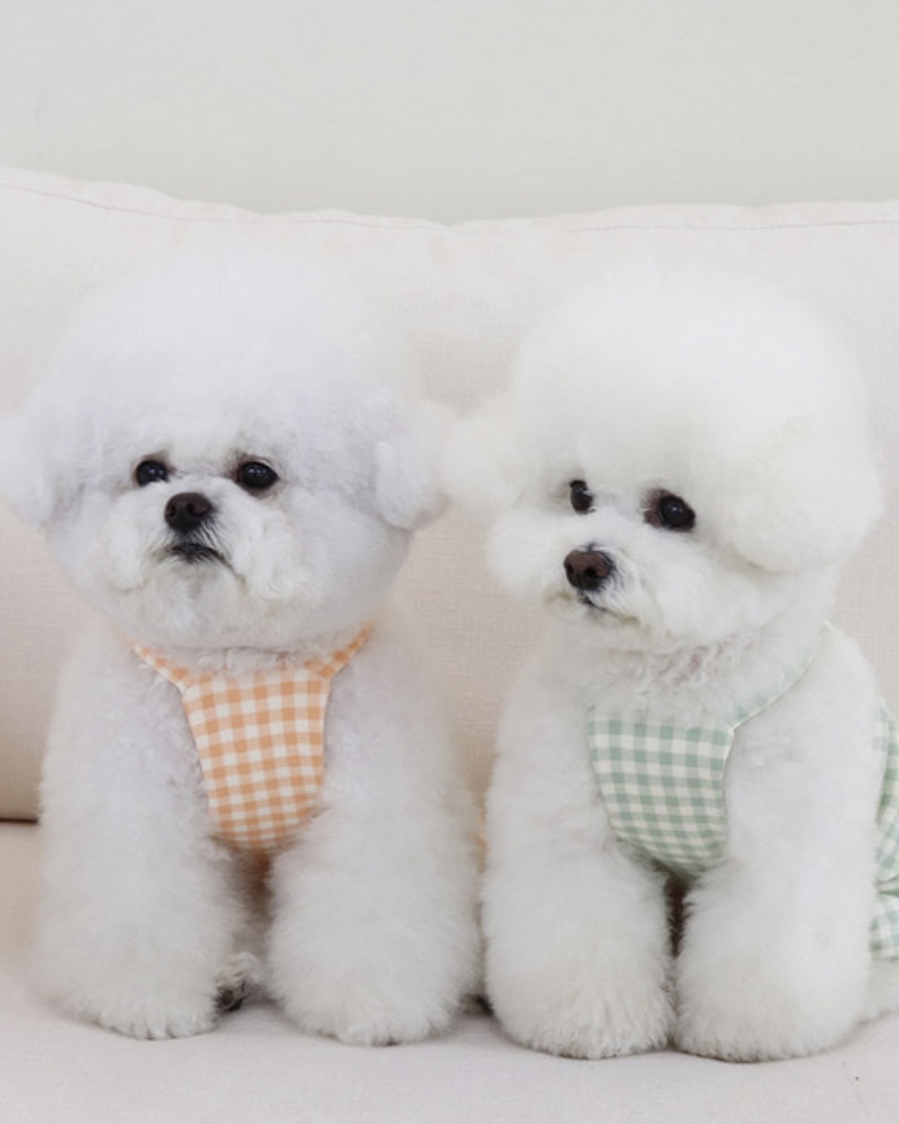 Chiot Together Check All in One Overall (Orange)