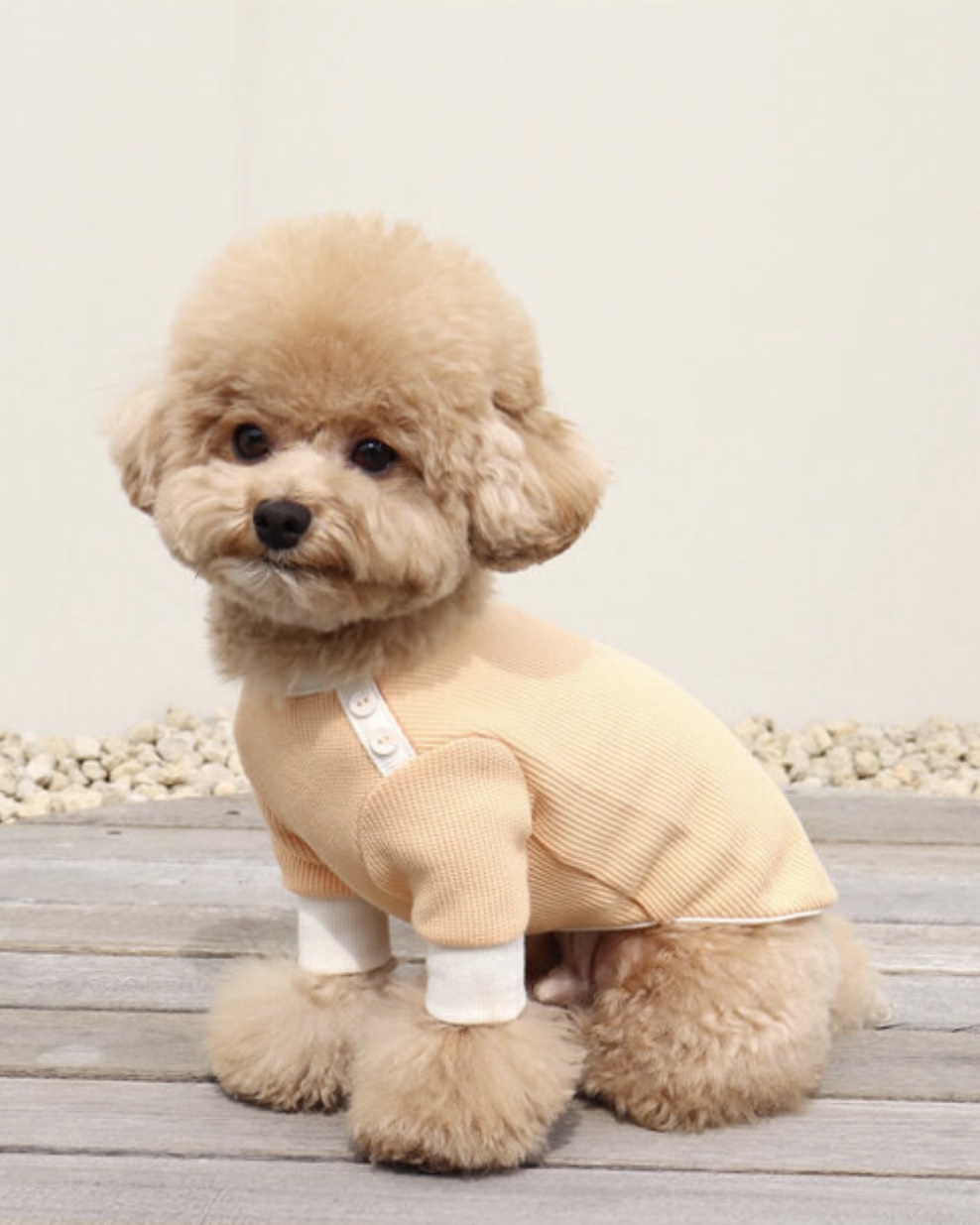 Sherbet Waffle T-Shirt (Orange)