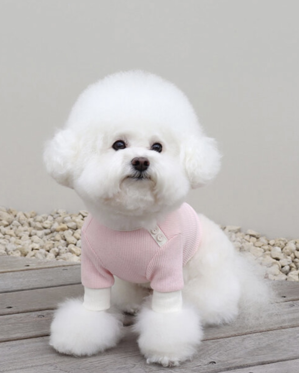 Sherbet Waffle T-Shirt (Pink)