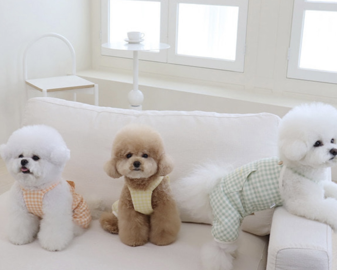 Chiot Together Check All in One Overall (Mint)