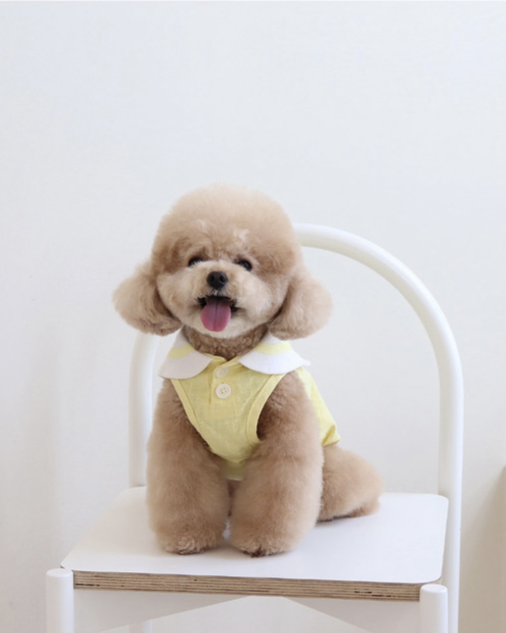 Pastel Linen Cape Top (Yellow)