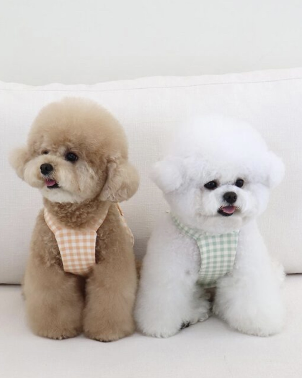 Chiot Together Check Crop Top Overall (Mint)