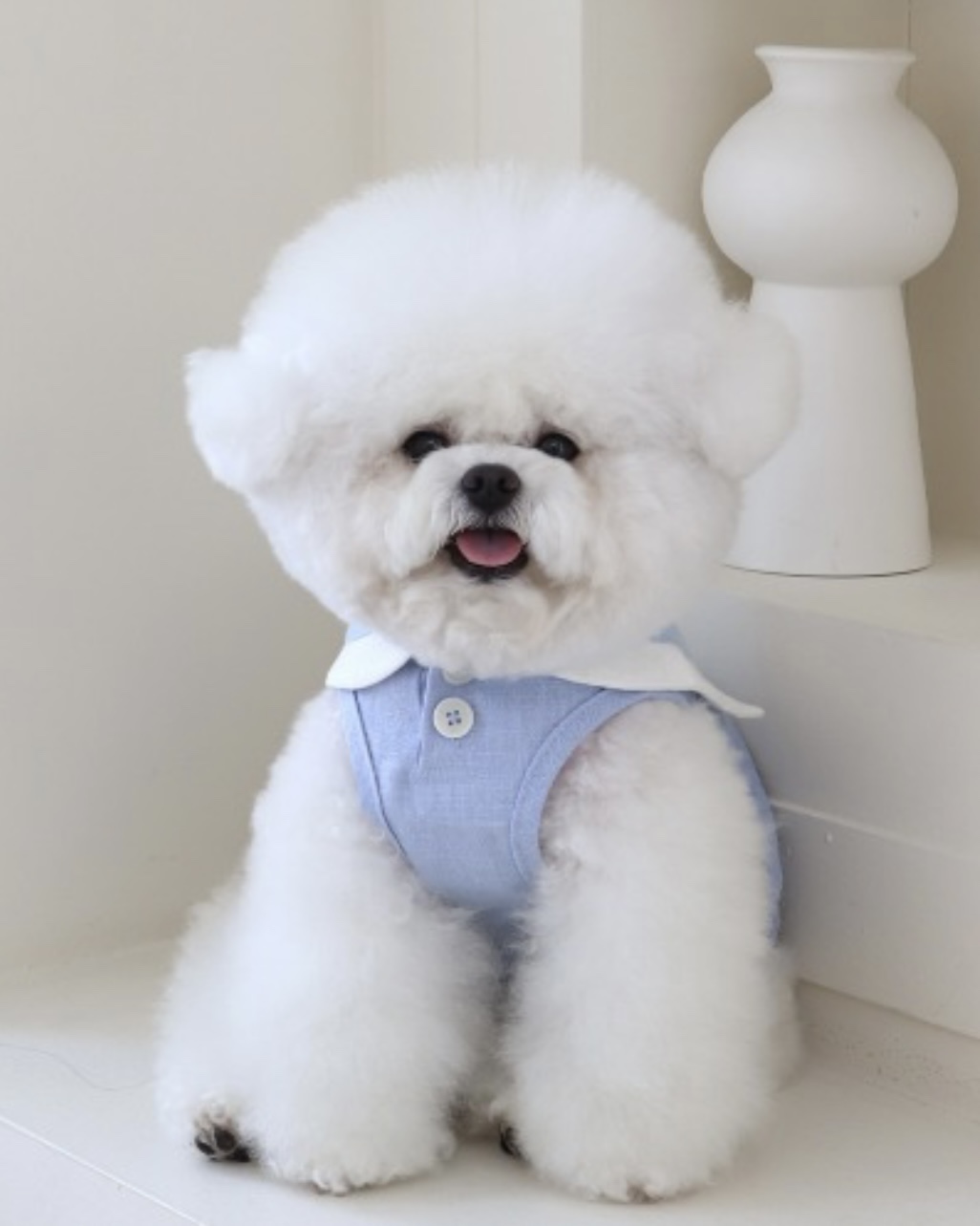 Pastel Linen Cape Top (Blue)