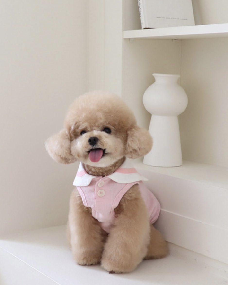 Pastel Linen Cape Top (Pink)