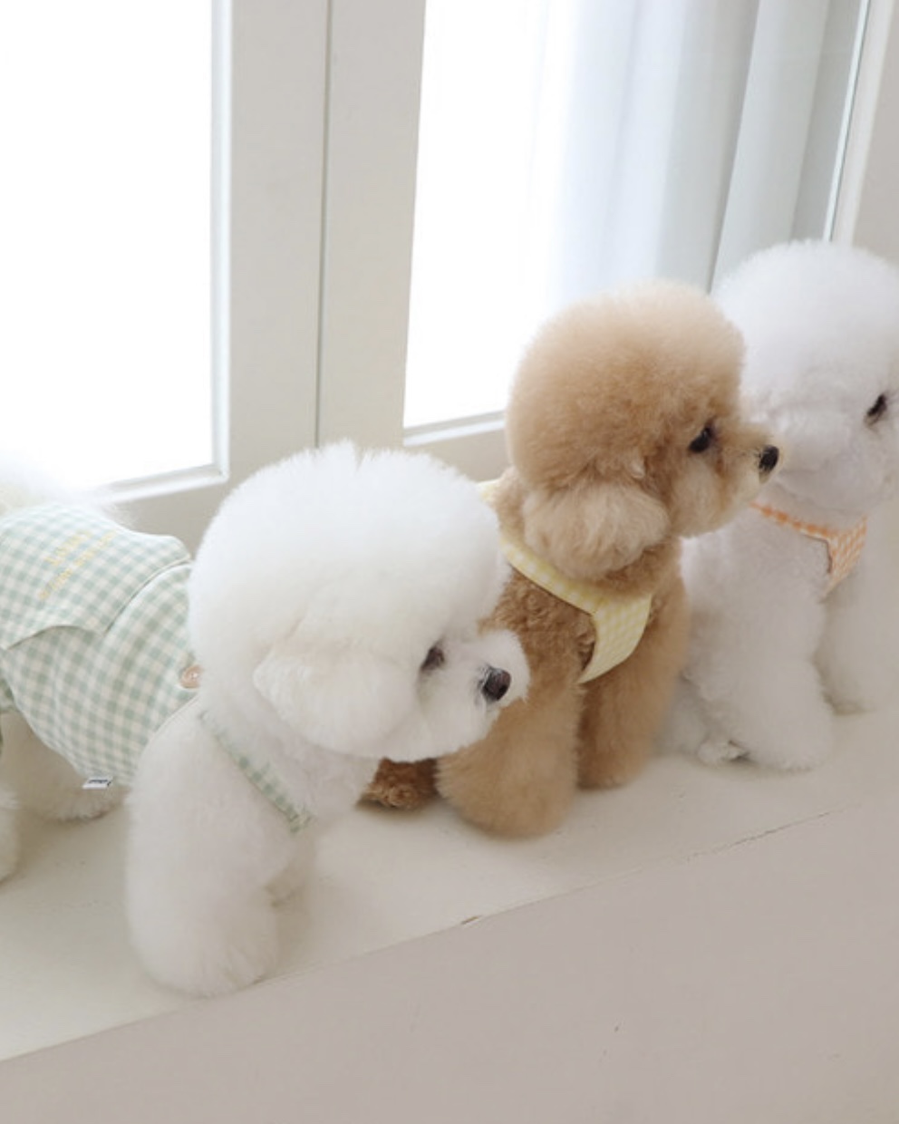 Chiot Together Check All in One Overall (Mint)