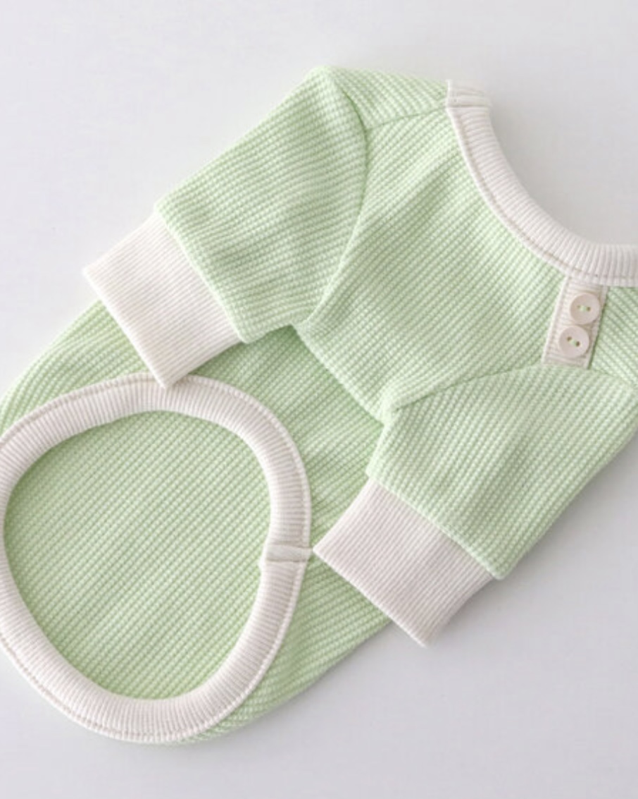 Sherbet Waffle T-Shirt (Milk Green)