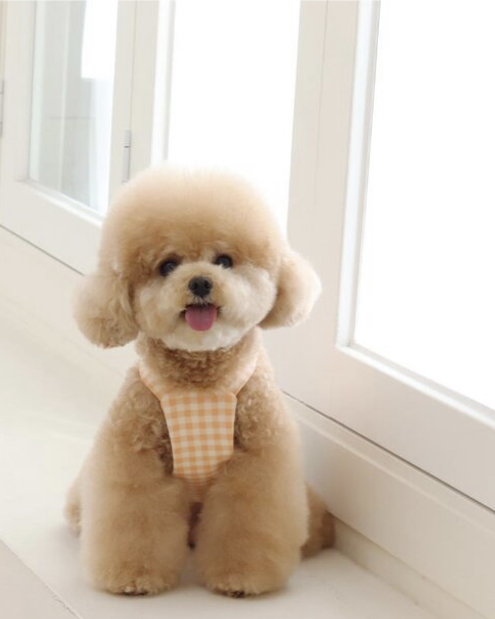 Together Check Crop Top Overall (Orange)