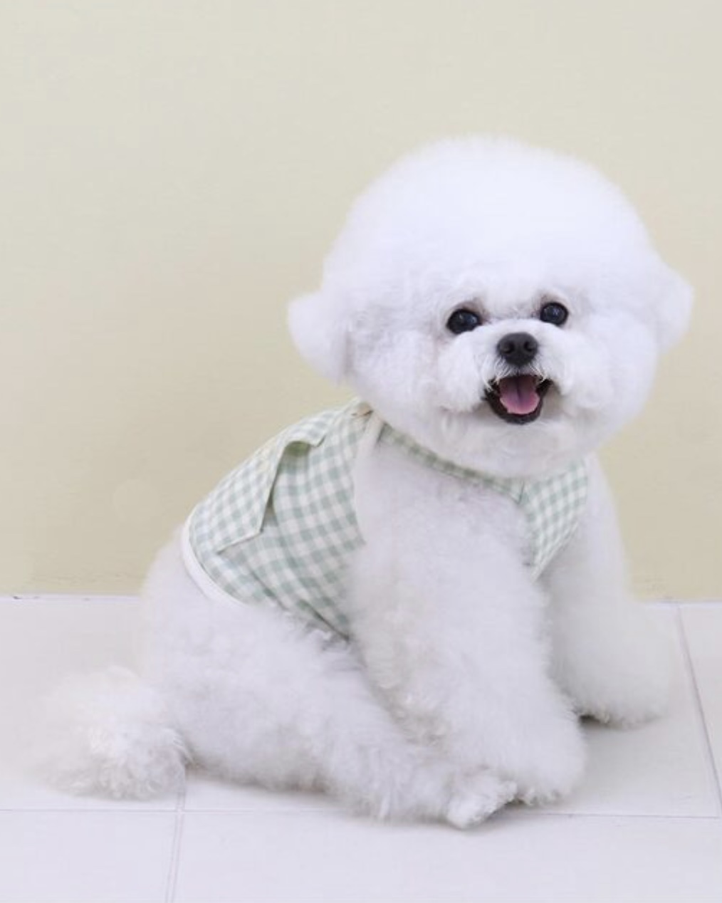 Chiot Together Check Crop Top Overall (Mint)