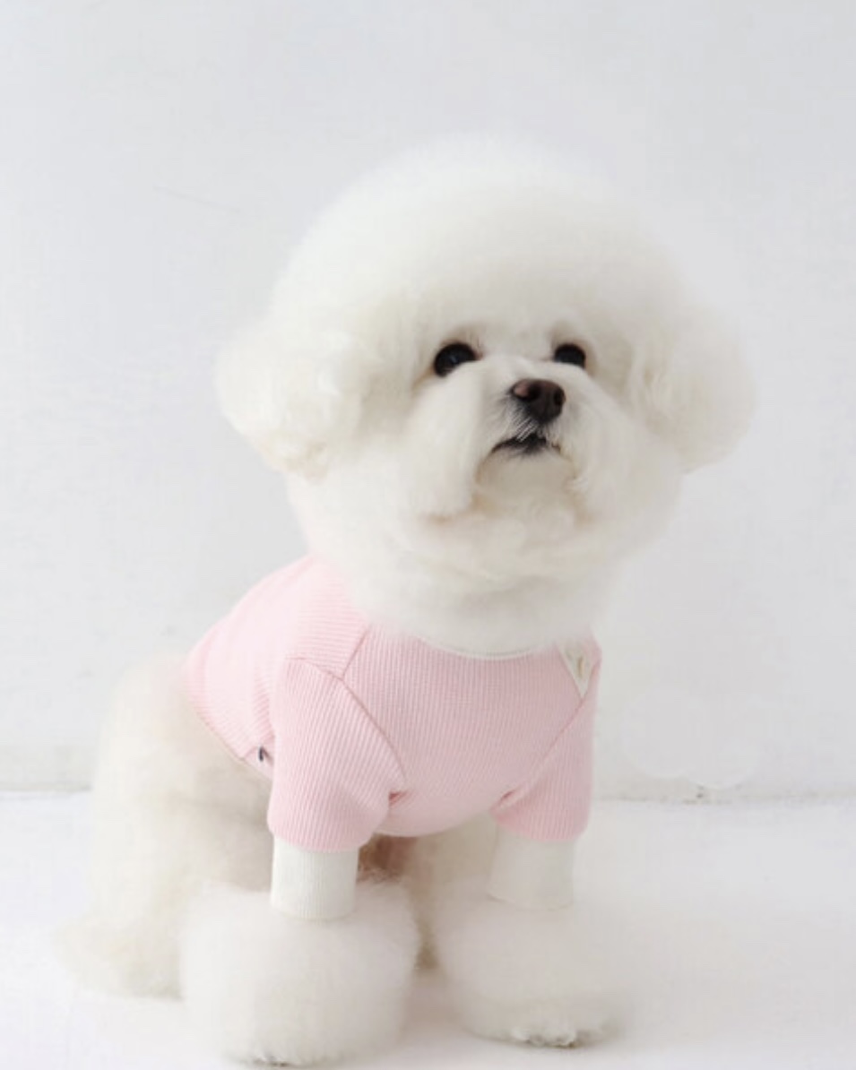 Sherbet Waffle T-Shirt (Pink)