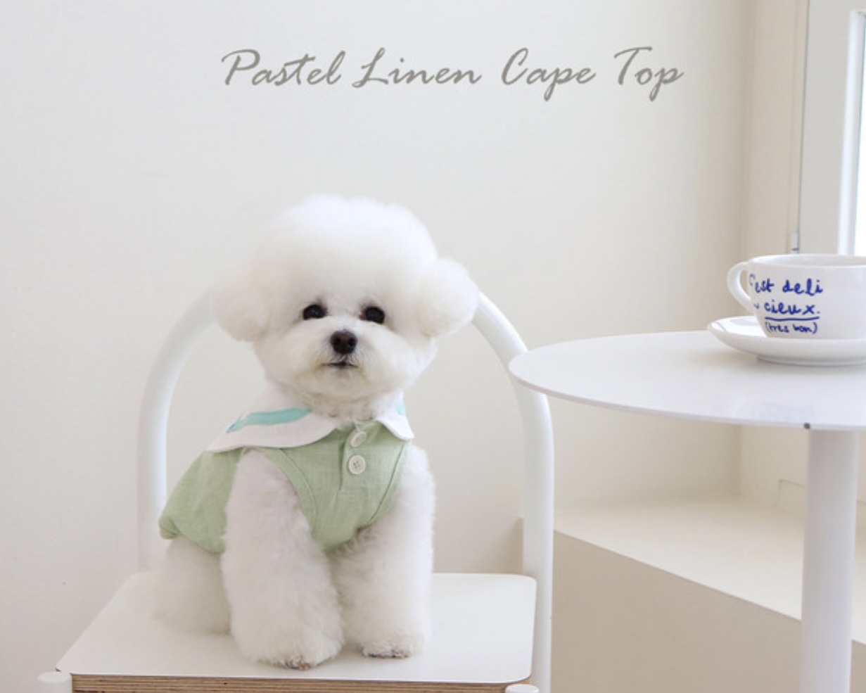 Pastel Linen Cape Top (Mint)