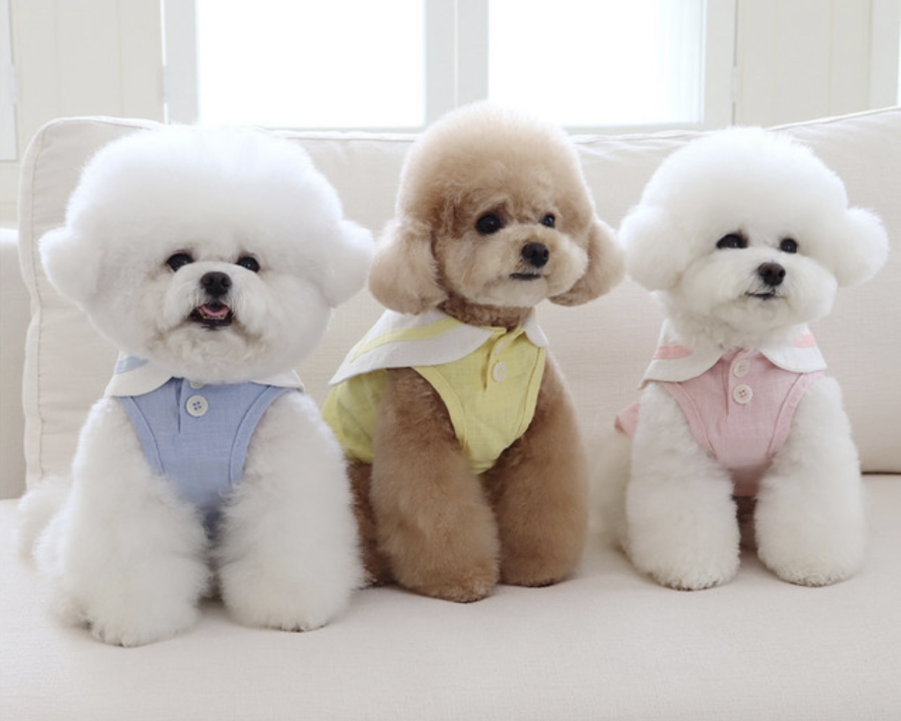 Pastel Linen Cape Top (Yellow)