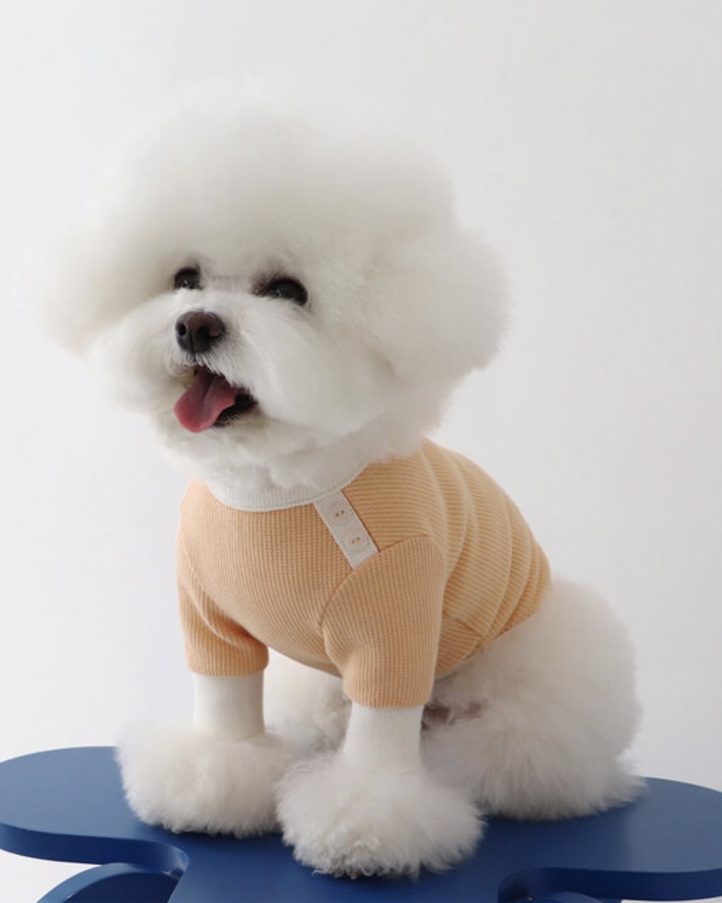 Sherbet Waffle T-Shirt (Orange)