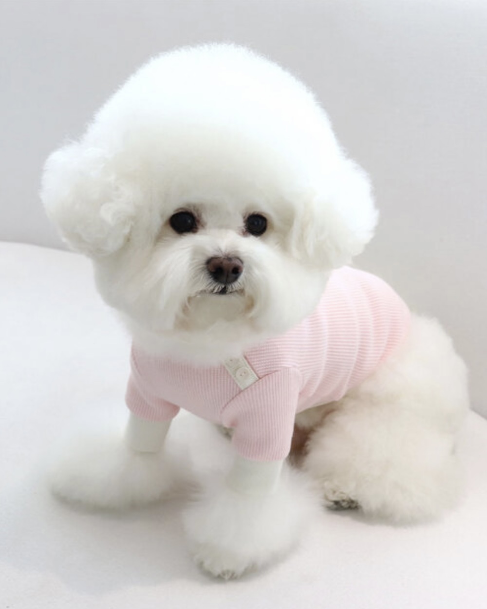 Sherbet Waffle T-Shirt (Pink)