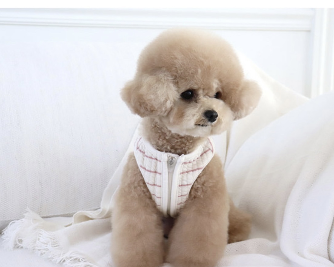 Chiot Bebe Cream Quilted Zip-Up Vest (Pink)