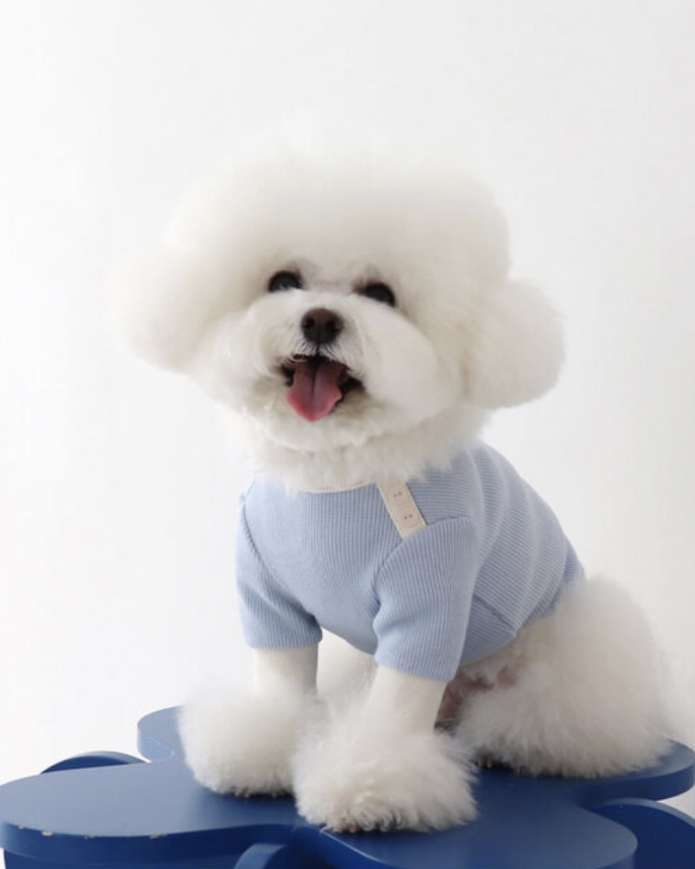 Sherbet Waffle T-Shirt (Blue)