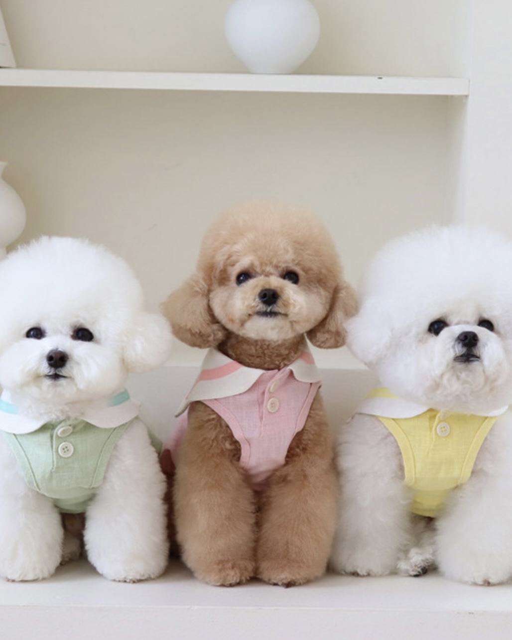 Pastel Linen Cape Top (Blue)