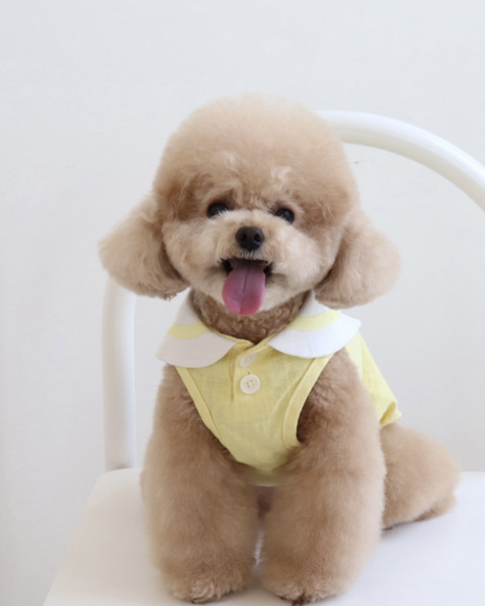 Pastel Linen Cape Top (Yellow)