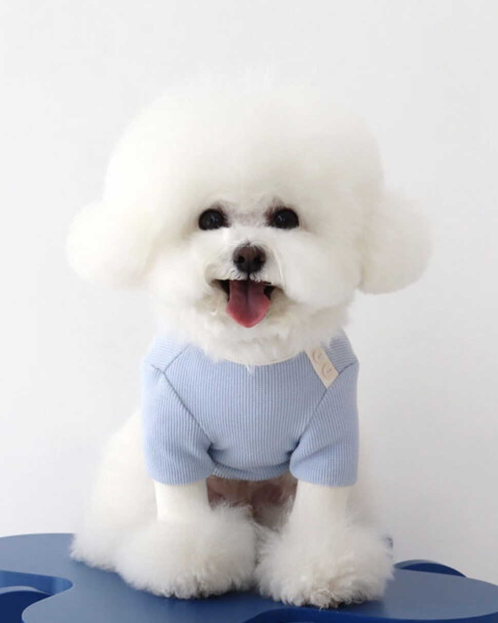 Sherbet Waffle T-Shirt (Blue)