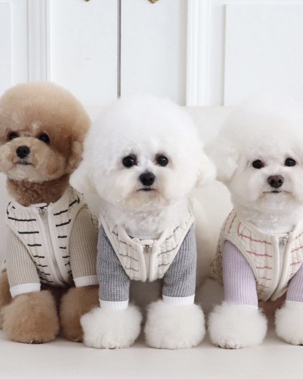 Chiot Bebe Cream Quilted Zip-Up Vest (Pink)