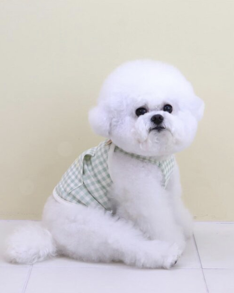 Chiot Together Check Crop Top Overall (Mint)