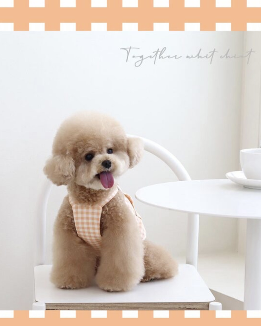 Together Check Crop Top Overall (Orange)