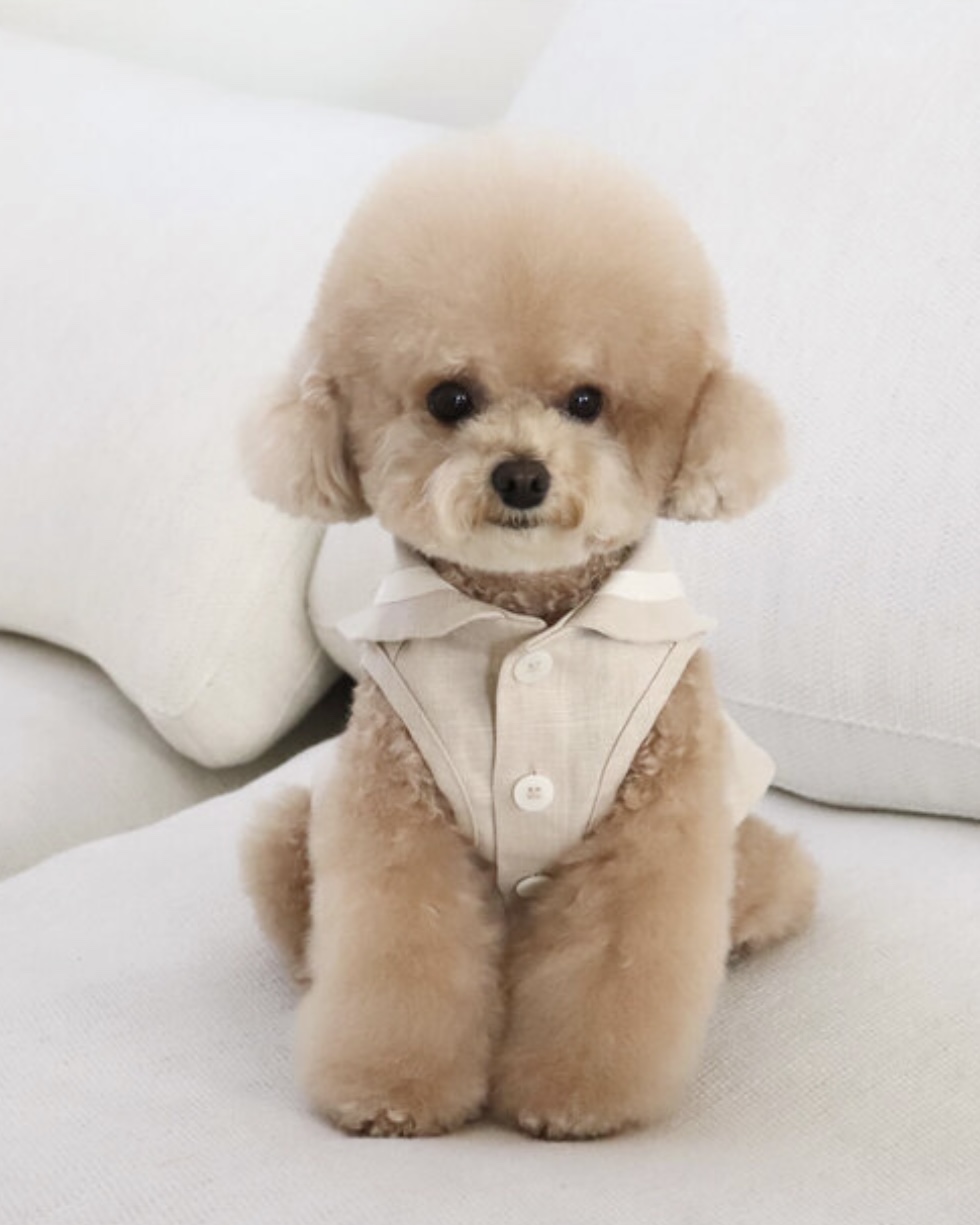 Pastel Linen Cape Top (Beige)