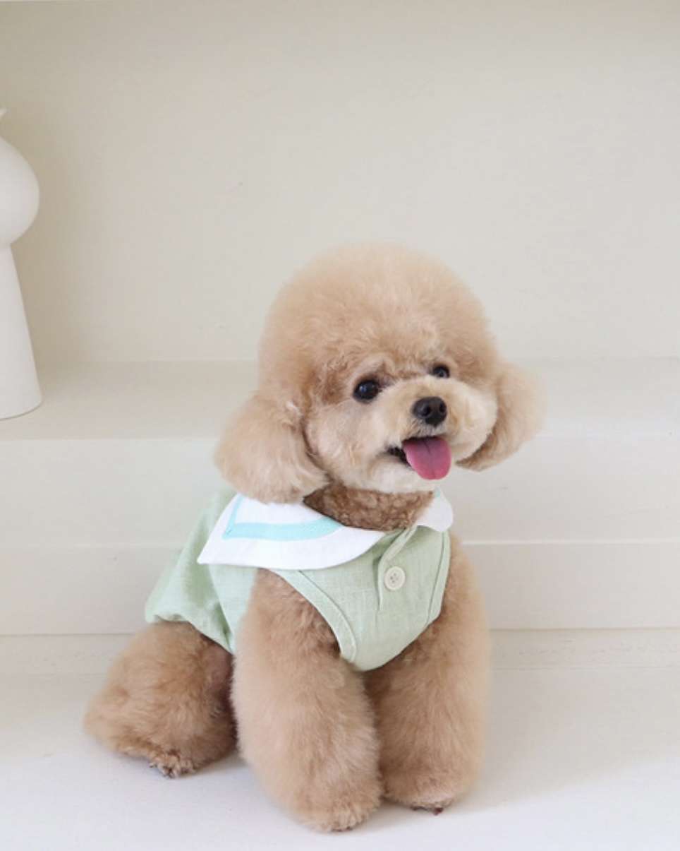 Pastel Linen Cape Top (Mint)