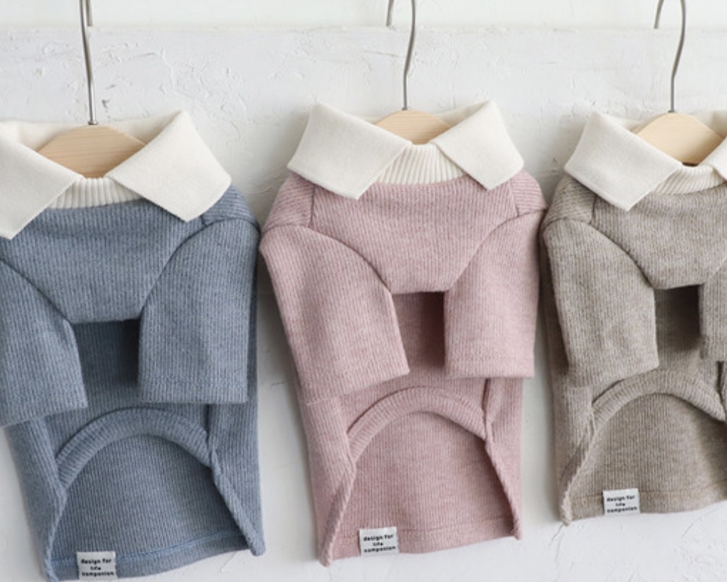 Chiot Blanc Knit Collar T-Shirt (Blue)