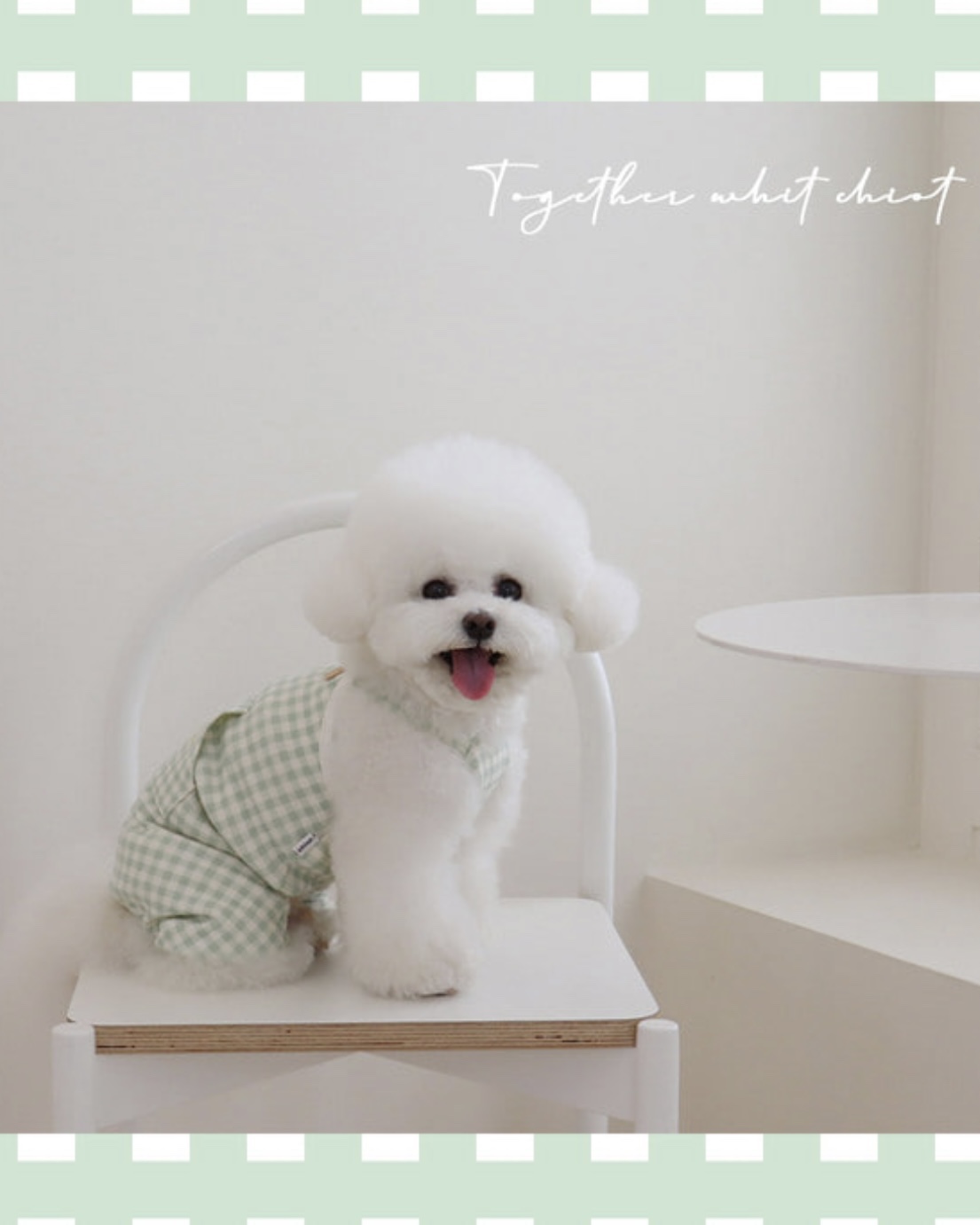 Chiot Together Check All in One Overall (Mint)