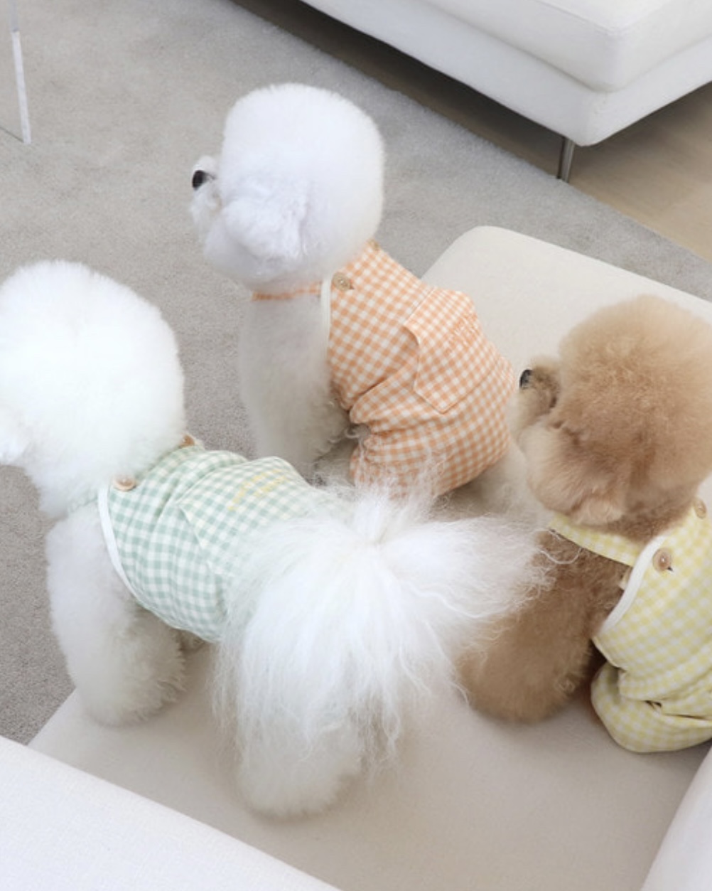 Chiot Together Check All in One Overall (Mint)