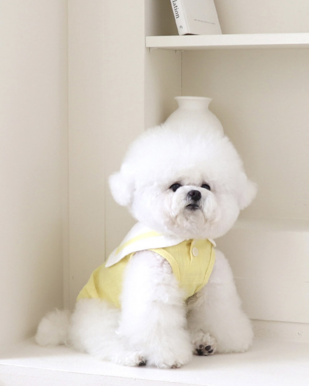 Pastel Linen Cape Top (Yellow)