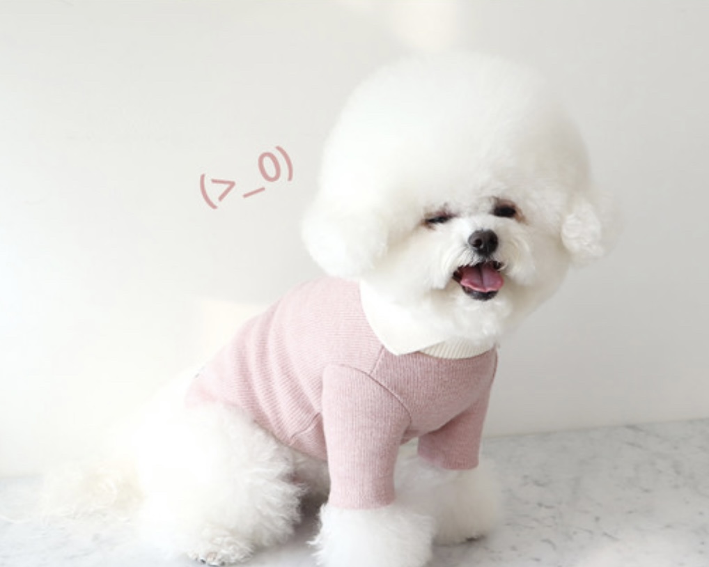 Chiot Blanc Knit Collar T-Shirt (Pink)