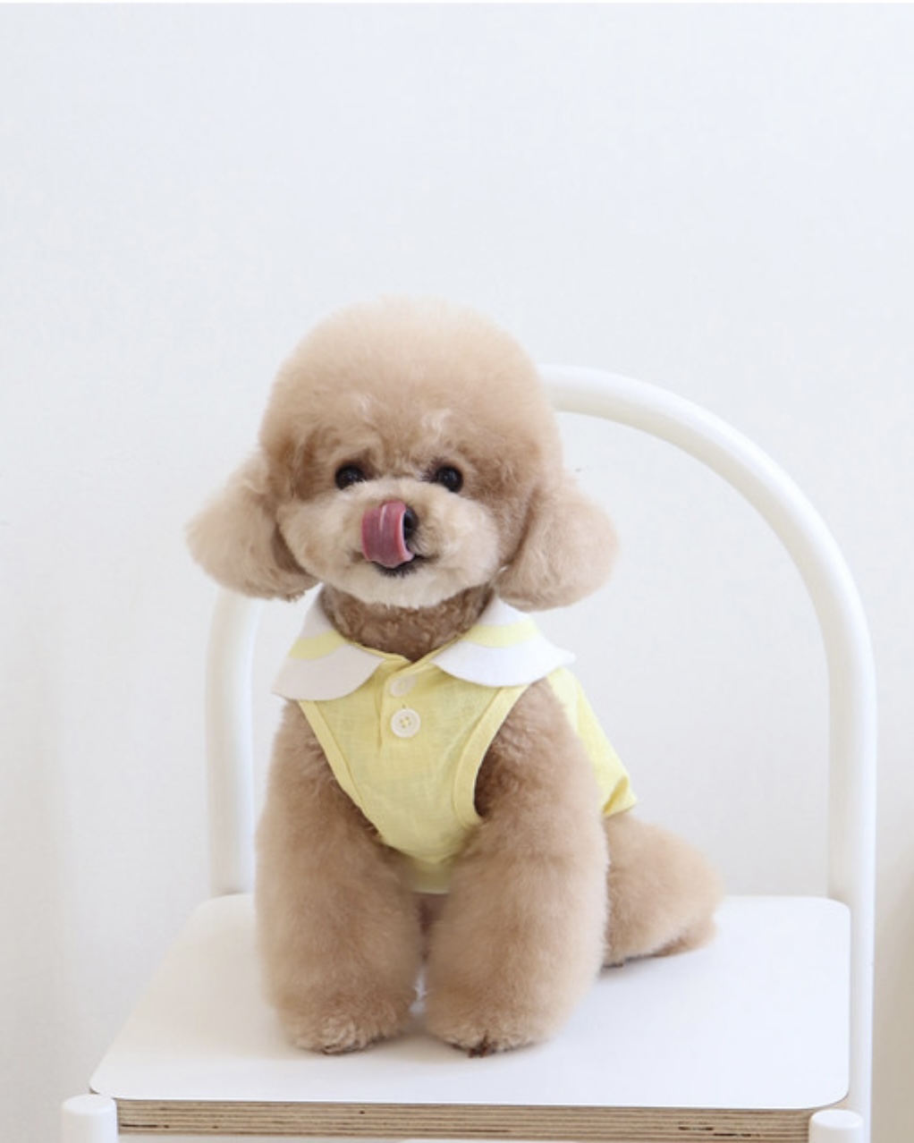 Pastel Linen Cape Top (Yellow)